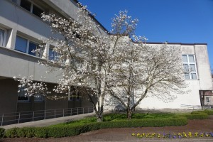 DSC09424+