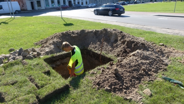 Archeologių talkininkas kasa šurfą.