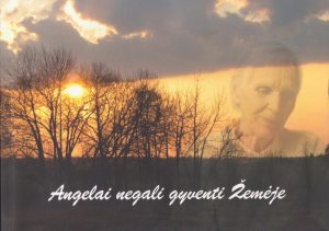 Knyga